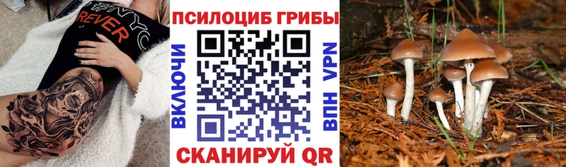 Псилоцибиновые грибы GOLDEN TEACHER  Стерлитамак 